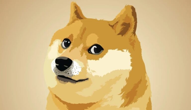 Doge Software Licenses Audit HUD